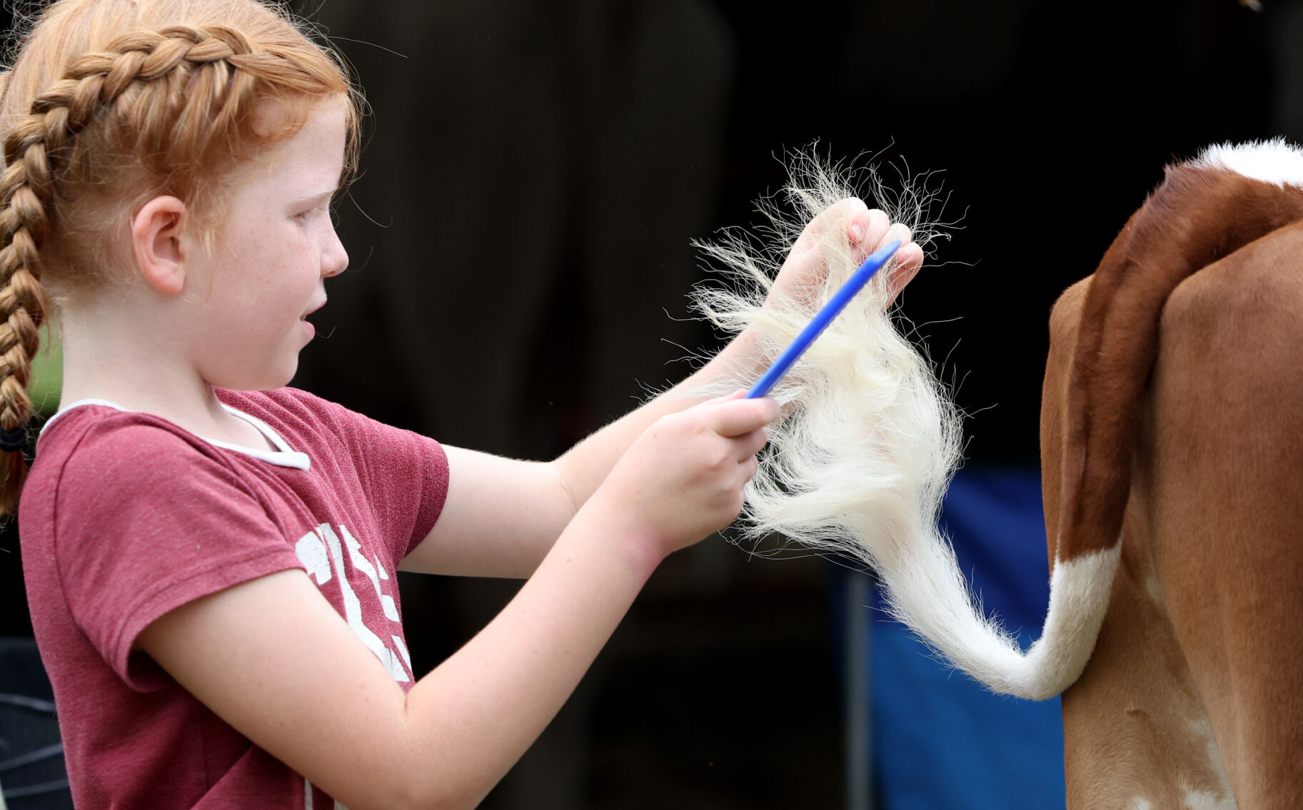 4-H Youth 10 .JPG